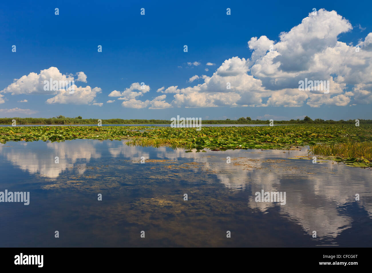 Il Delta del Danubio, Romania Foto Stock