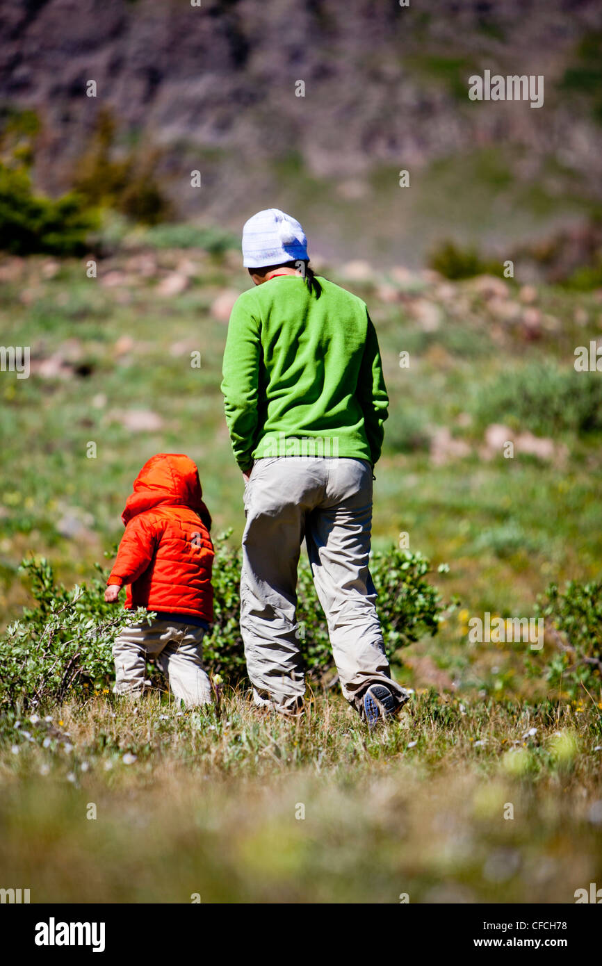 Una donna cammina con il suo figlio di 2 anni attraverso un prato alpino. Essi sono il Continental Divide Trail (CCT, sentiero numero 813) Foto Stock