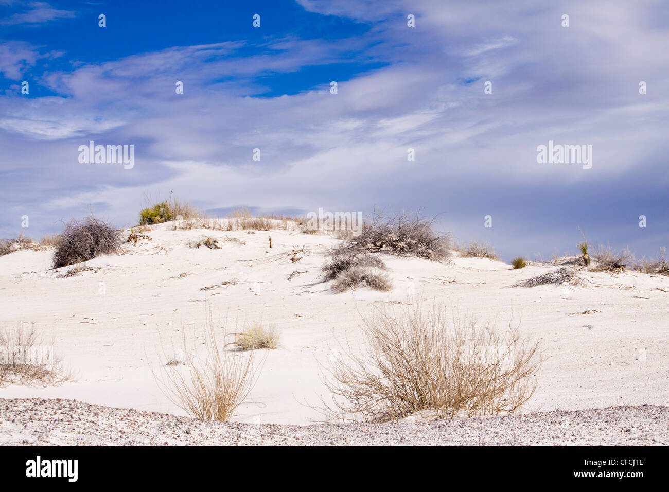 Le dune di sabbia a White Sands National Monument in New Mexico su una fredda mattina di febbraio. Foto Stock