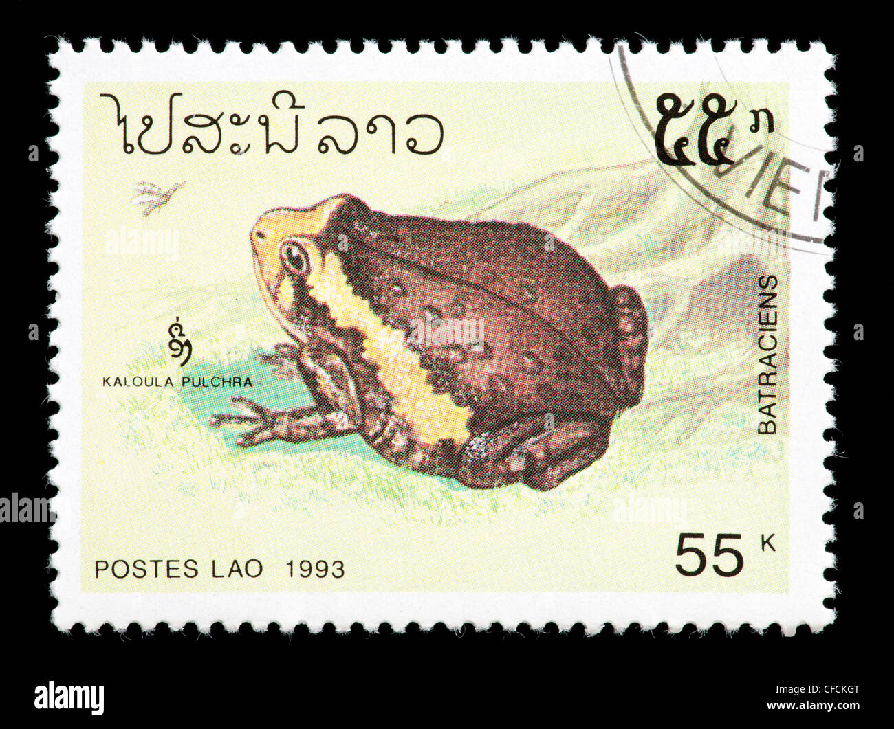 Francobollo dal Laos raffigurante un dipinto asiatici (Rana Kaloula pulchra) Foto Stock