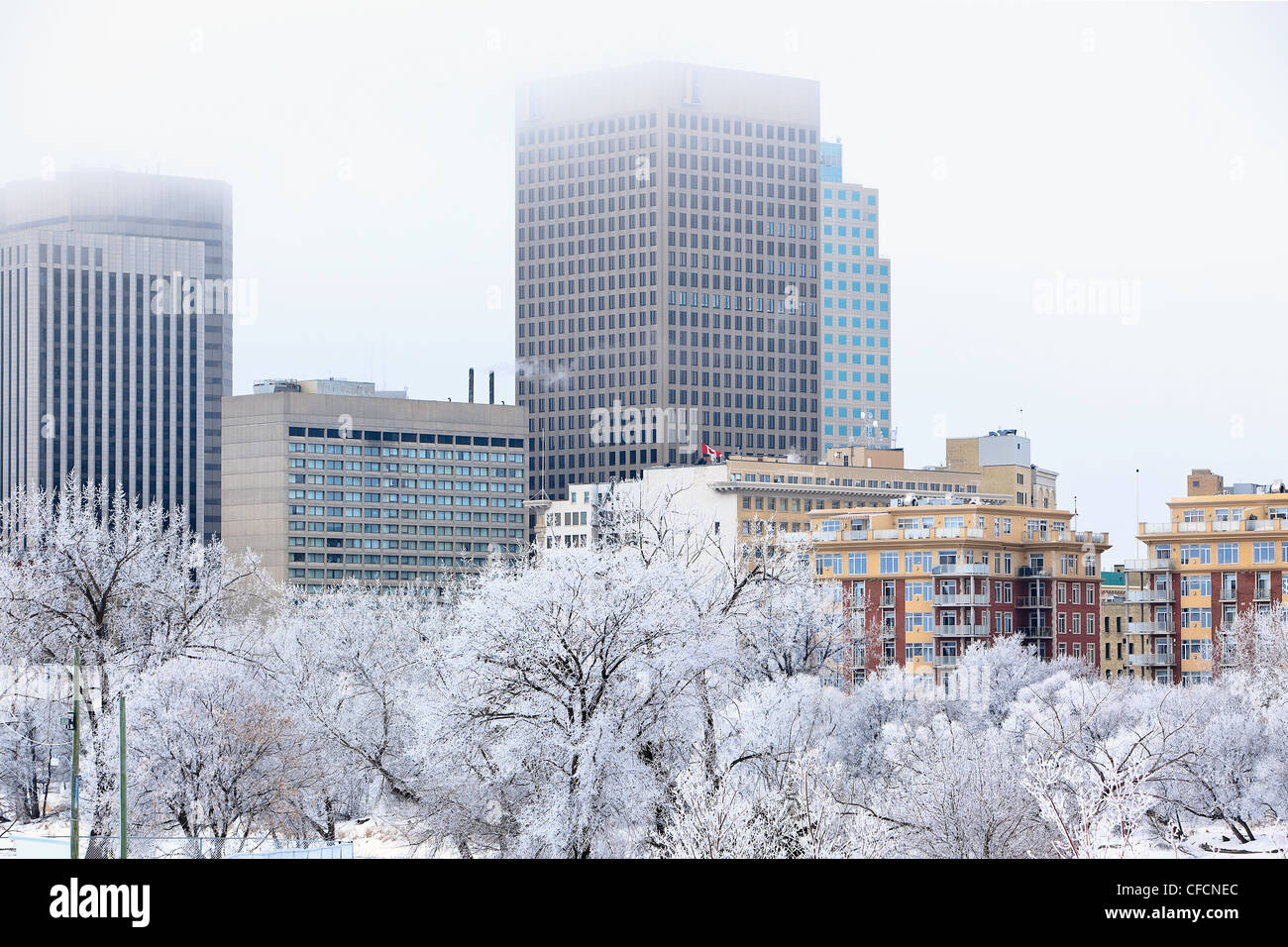 Downtown Winnipeg skyline su un gelido giorno d'inverno. Winnipeg, Manitoba, Canada. Foto Stock