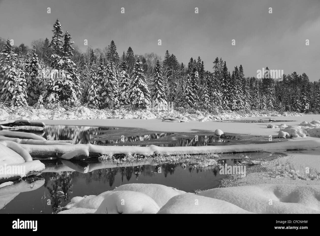 Fresco di neve caduti in una bellissima naturale scena invernale di Algonquin Park, Ontraio canada Foto Stock