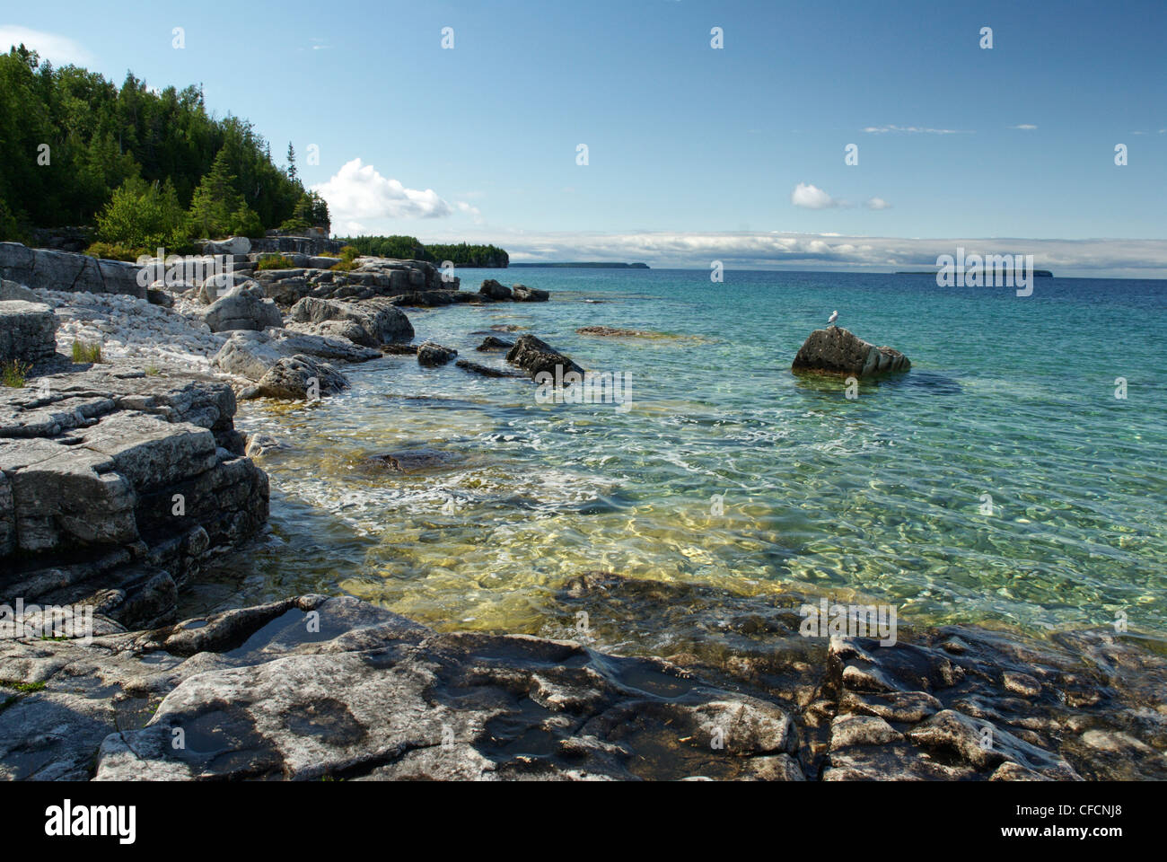 Acque color smeraldo di Georgian Bay in the Bruce Pennisula National Park, Ontraio Canada Foto Stock