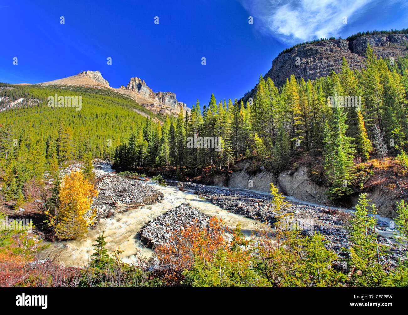 Nosi Creek, il Parco Nazionale di Banff, Alberta, Canada Foto Stock