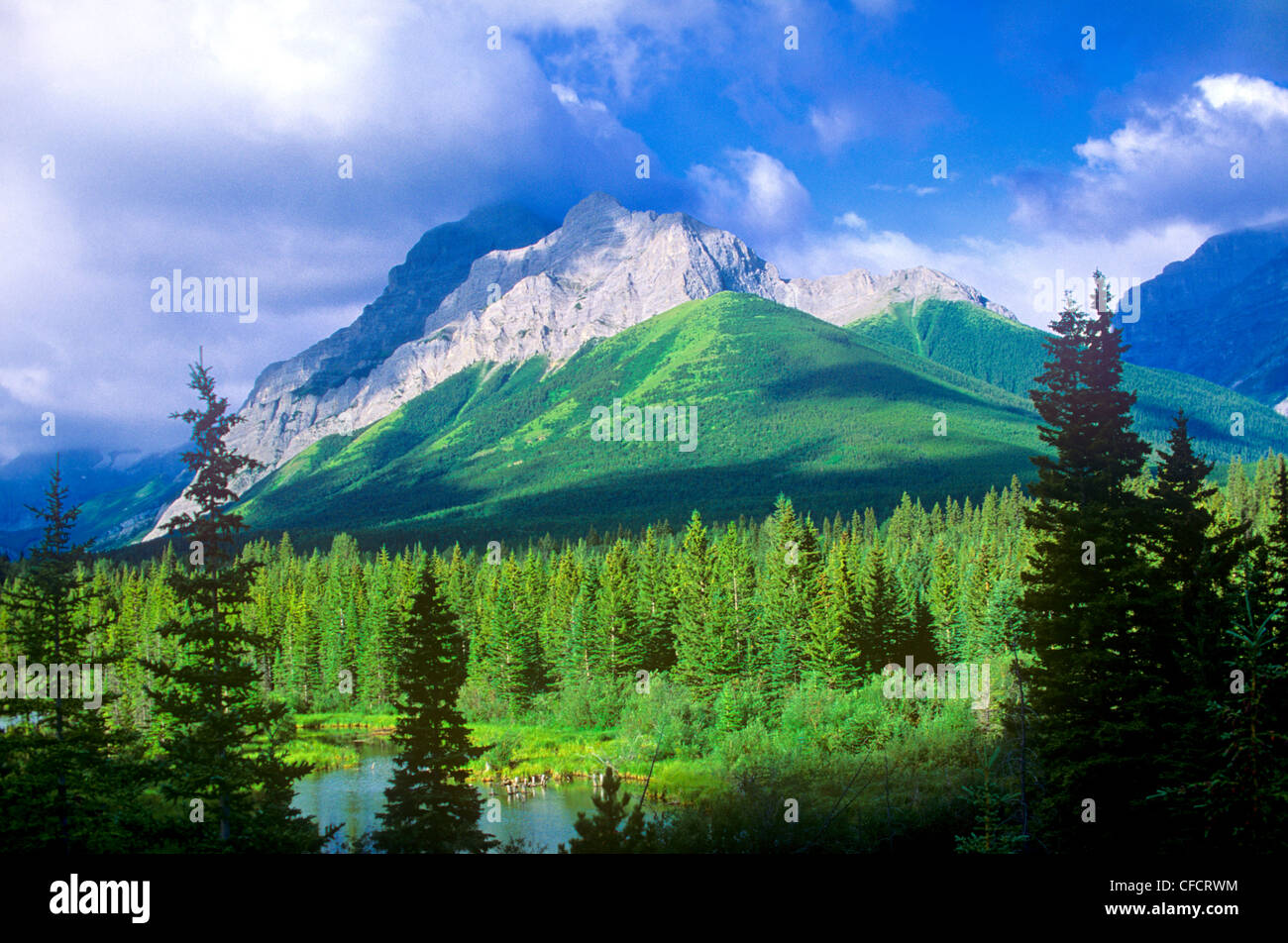 Wasootch Creek, Peter Lougheed Parco Provinciale, Alberta, Canada Foto Stock