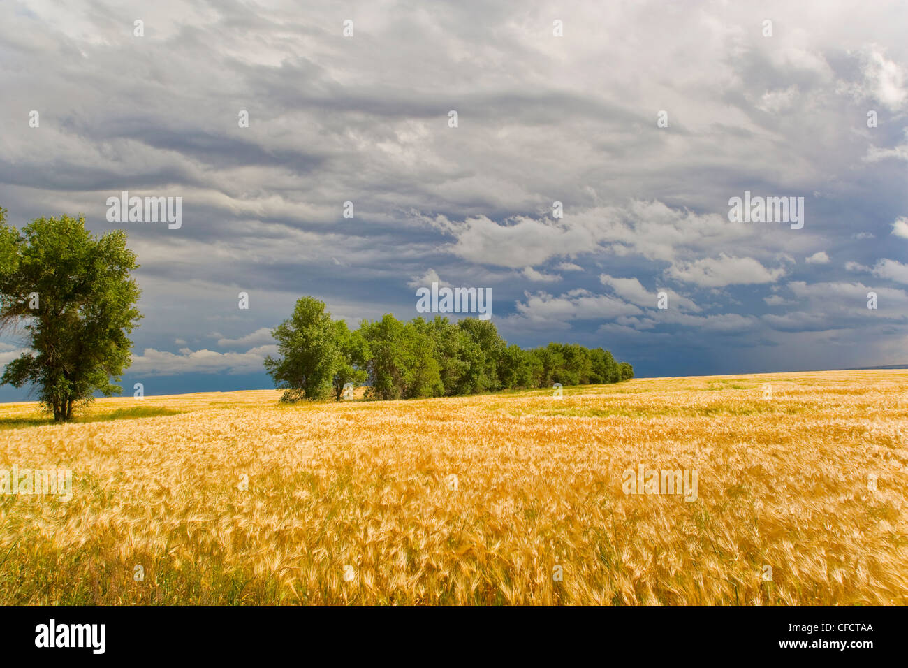 Il tuono tempesta su strada per traghetto Crowfoot, Alberta, Canada Foto Stock