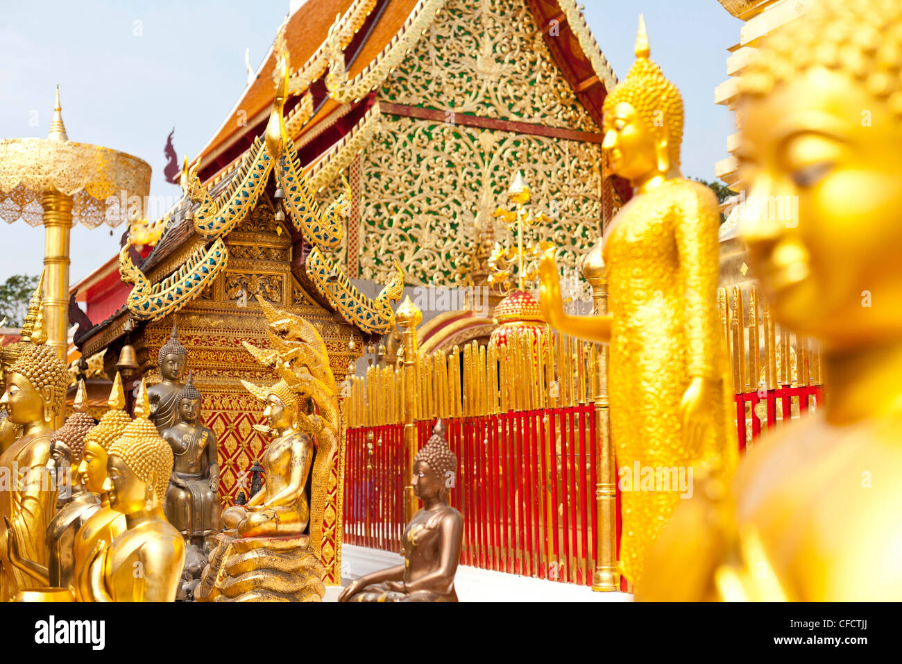 Wat Doi Suthep, Golden Statue di Buddha e la ricca architettura buddista, tempio buddista su una montagna, Chiang Mai, Thailandia, Asia Foto Stock