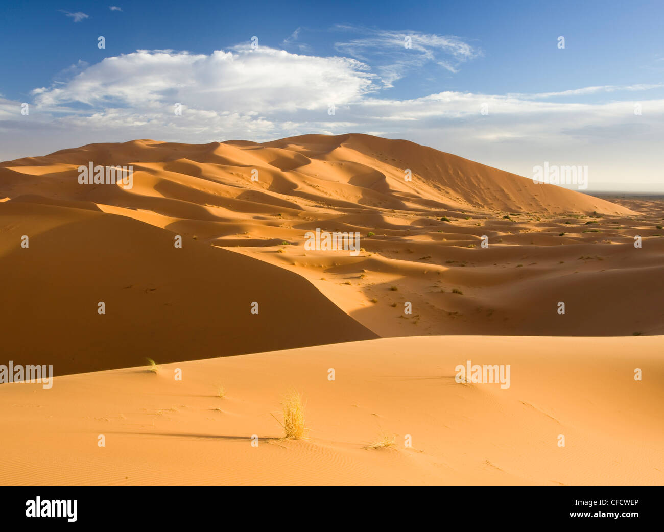 Il rotolamento dune di sabbia arancione e ondulazioni di sabbia in Erg Chebbi mare di sabbia vicino a Merzouga, Marocco, Africa Settentrionale, Africa Foto Stock