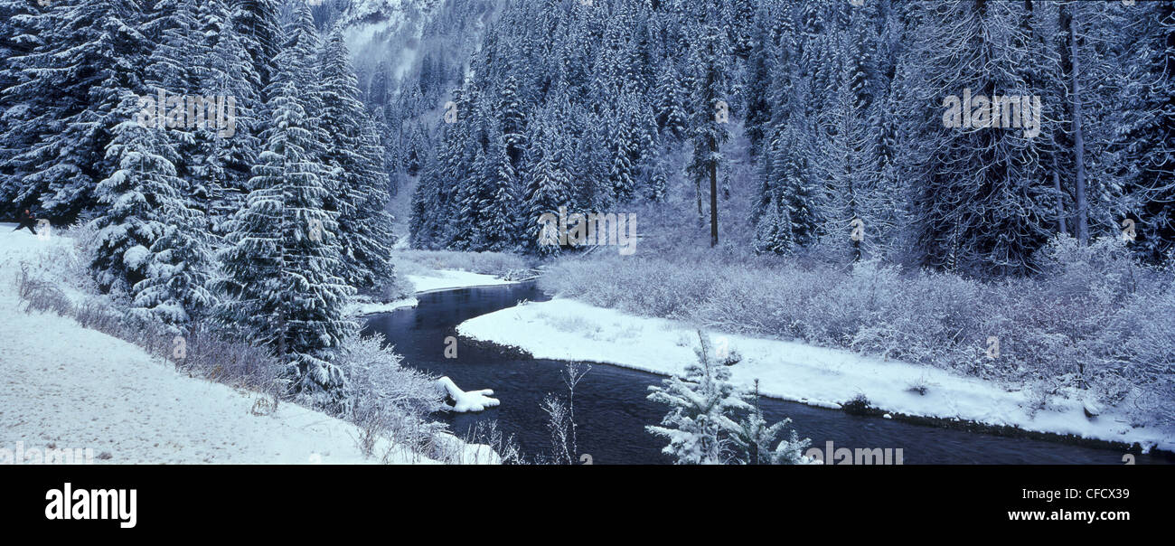 Inverno scenic di Sumallo nel Fiume Manning Provincial Park, British Columbia, Canada Foto Stock