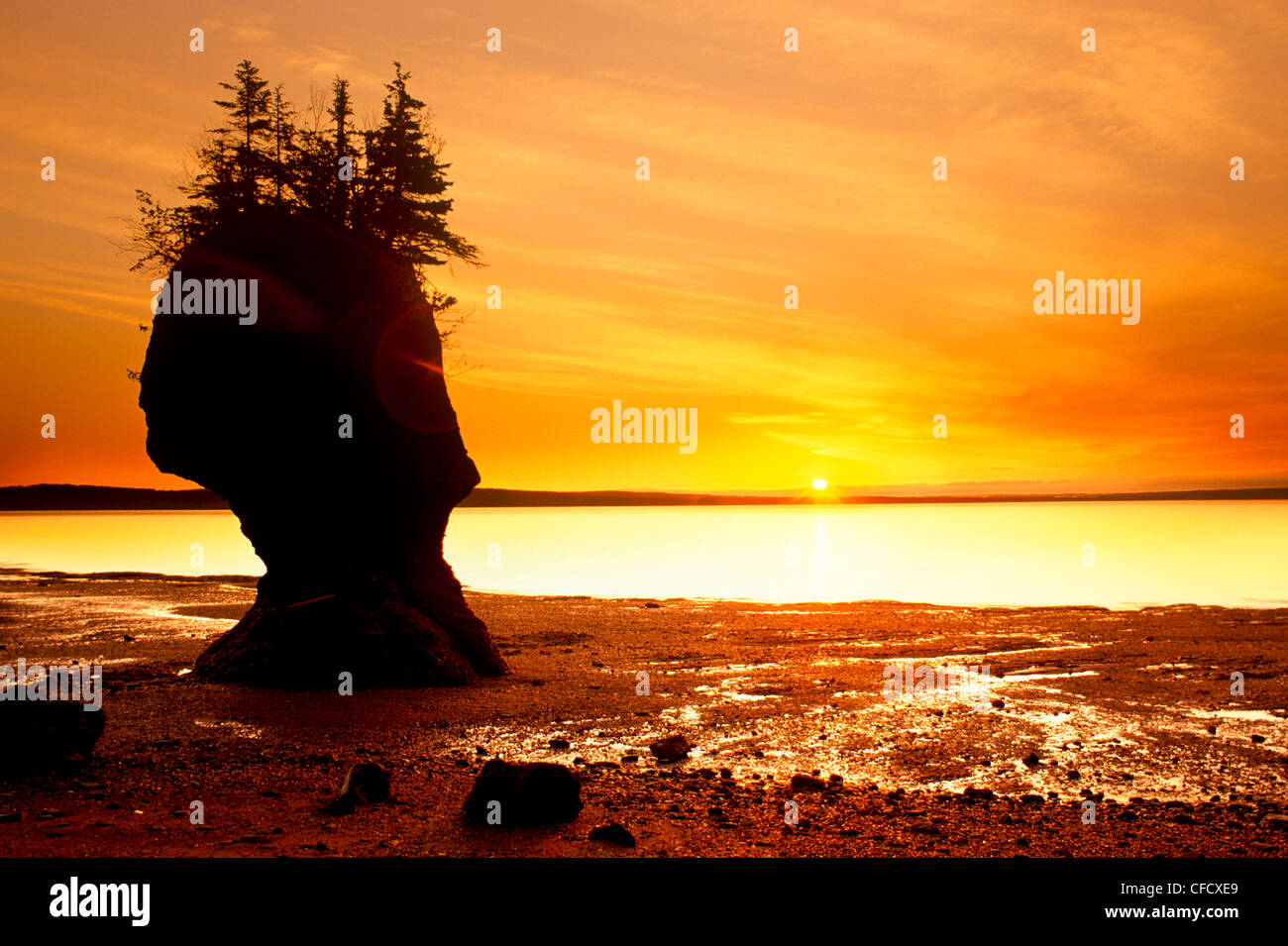 Hopewell Rocks, Baia di Fundy, New Brunswick, Canada Foto Stock