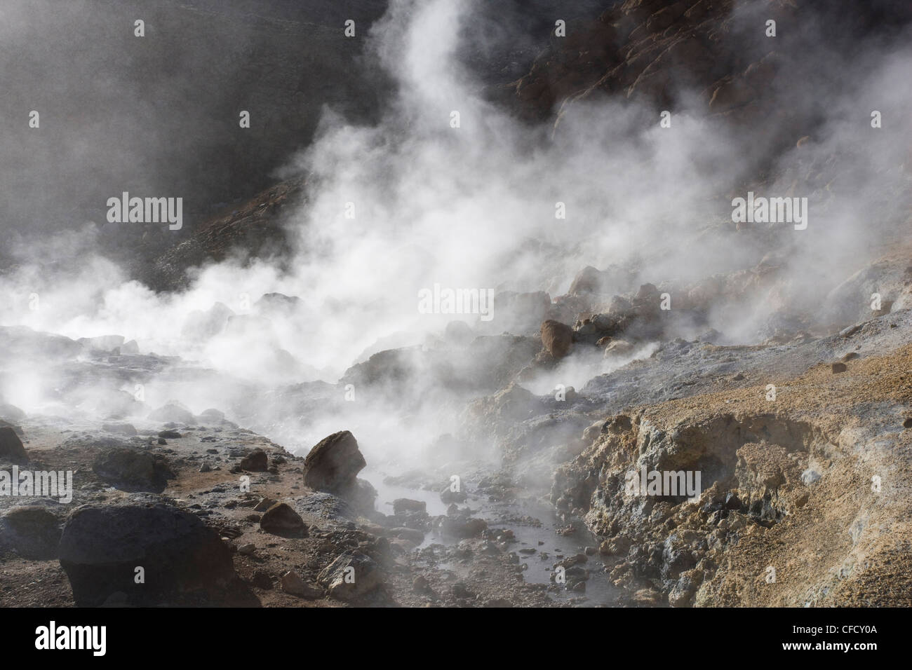 Il vapore passando da piscine geotermiche a Seltun sulla penisola di Reykjanes vicino a Keflavik, Islanda, regioni polari Foto Stock