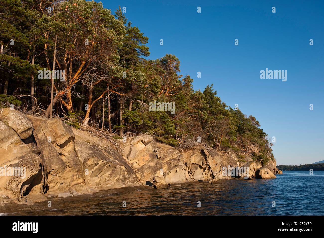 Arenaria scolpite sulle rive di Tumbo Isola, Gulf Islands National Park Riserva, British Columbia, Canada Foto Stock