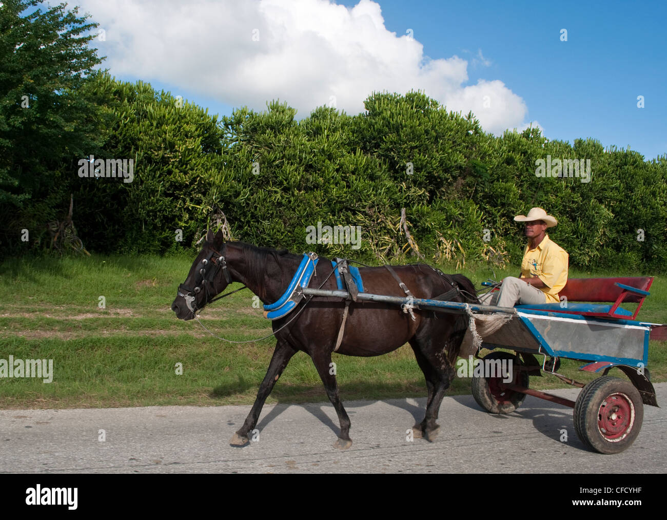 Cavallo carrello motorizzato in area rurale vicino a Holguin, Cuba Foto Stock