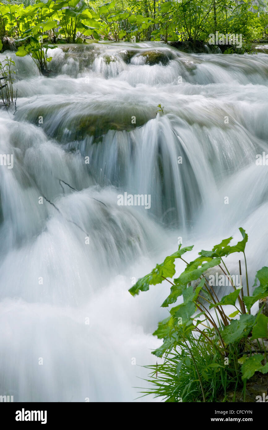 Cascate di schiumatura, il Parco Nazionale dei Laghi di Plitvice (Plitvicka jezera), il sito Patrimonio Mondiale dell'UNESCO, Lika-Senj Affitto County, Croazia, Europa Foto Stock