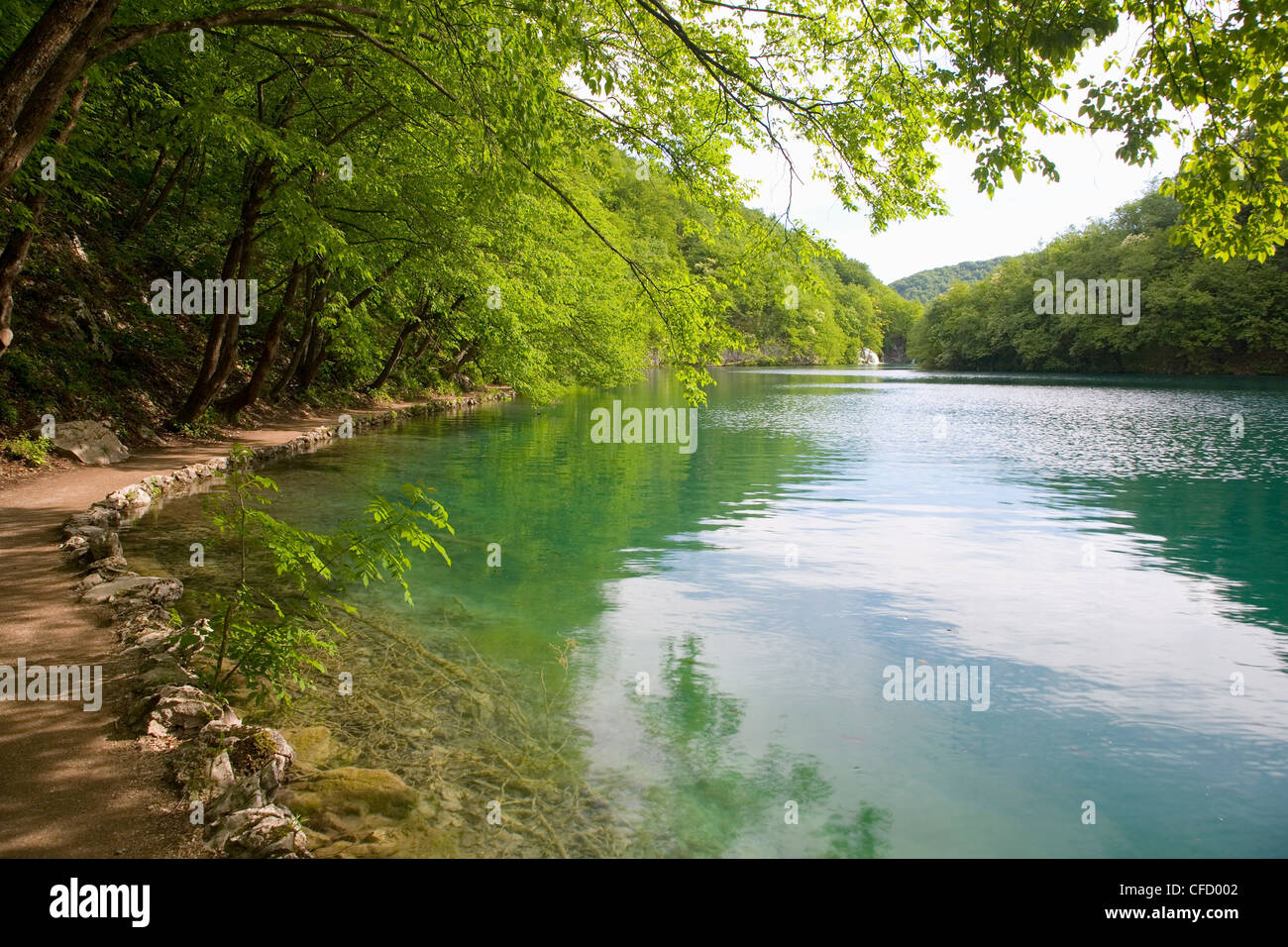 Le acque turchesi del lago Milanovac, il Parco Nazionale dei Laghi di Plitvice (Plitvicka jezera), Lika-Senj Affitto County, Croazia Foto Stock