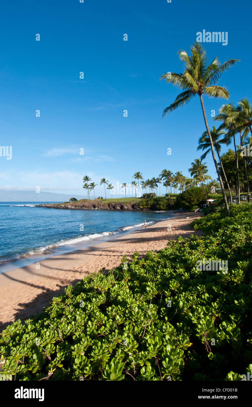Shorline a Kapalua, Maui, Hawaii, Stati Uniti d'America Foto Stock