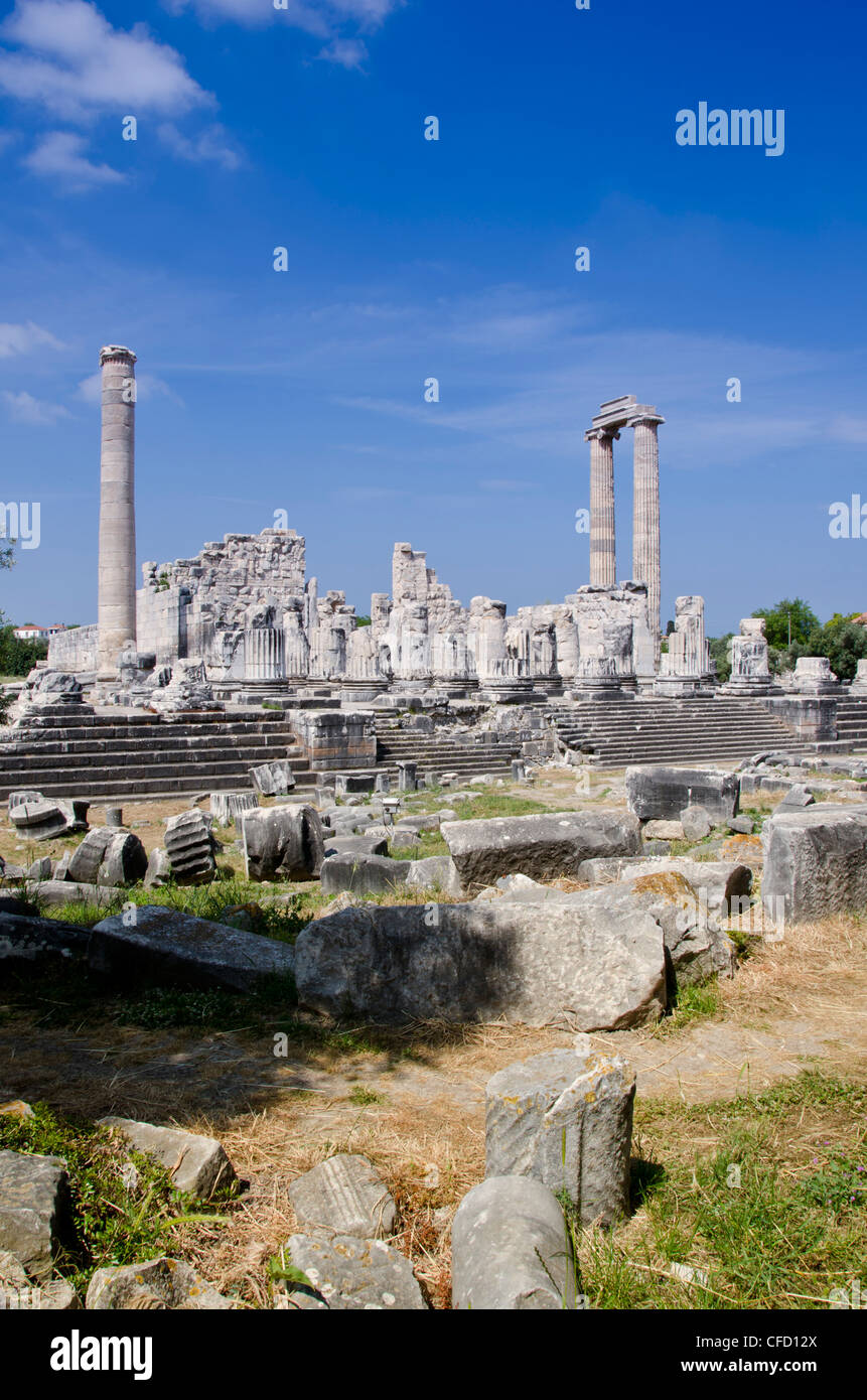 Didyma, un antico santuario del Mar Ionio, nei moderni Didim, Turchia, contenente il Tempio di Apollo, il Didymaion. Foto Stock