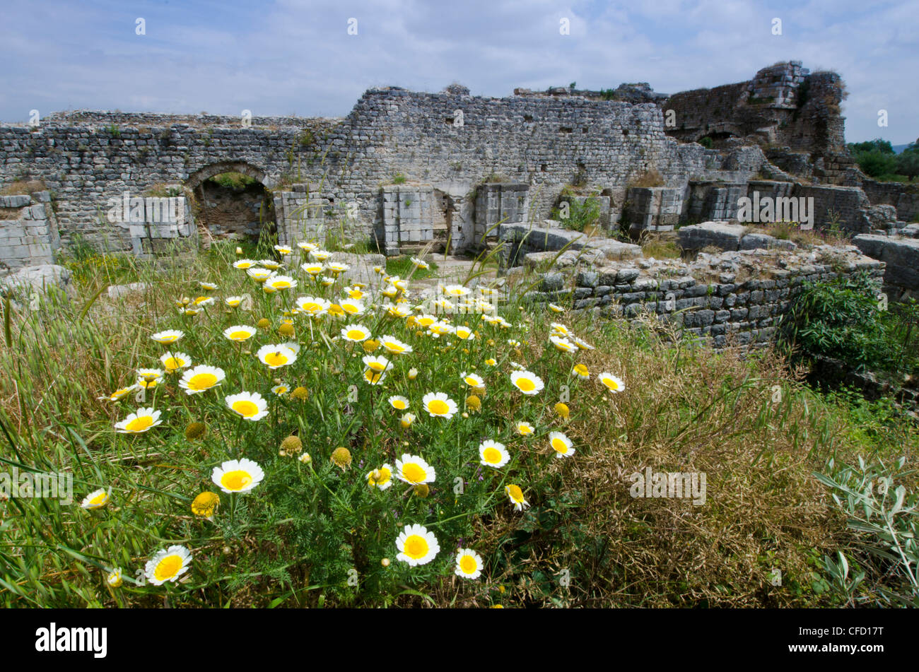 Mileto, antica città greca sulla costa occidentale dell'Anatolia, Turchia Foto Stock