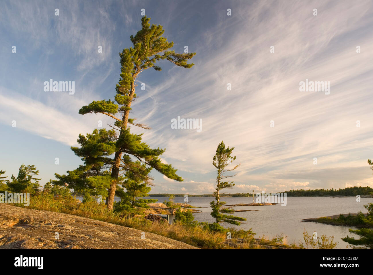 Rock e Pino scenario da Georgian Bay Islands National Park Foto Stock