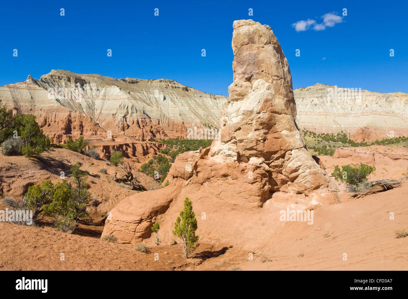 Un tubo sedimentaria, Kodachrome Basin Parco Statale, Grand Staircase-Escalante monumento nazionale, Kane County, Utah, Stati Uniti d'America Foto Stock