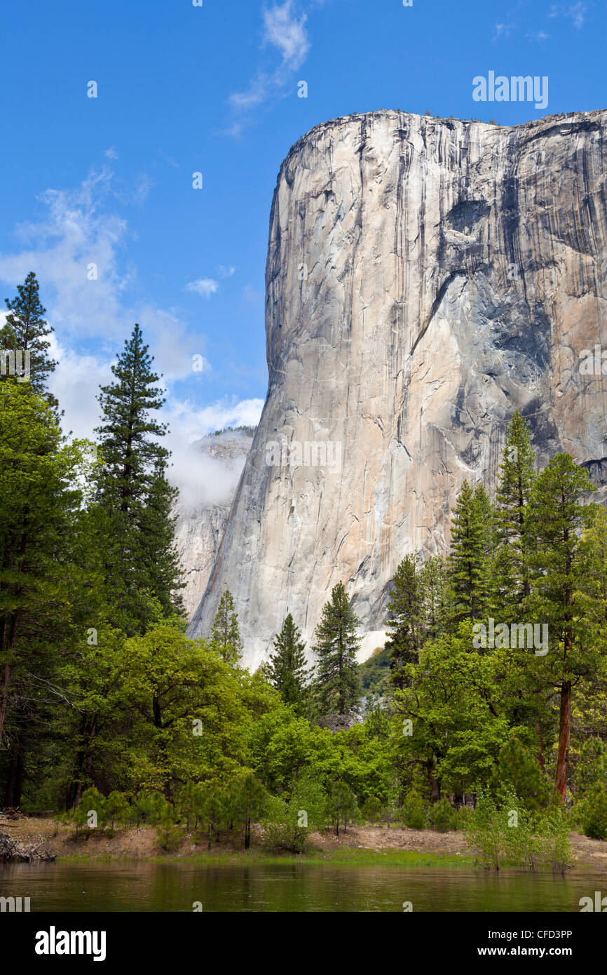El Capitan, del Parco Nazionale Yosemite, Sierra Nevada, in California, Stati Uniti d'America Foto Stock