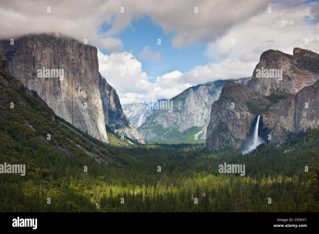 Il parco nazionale di Yosemite Valley con El Capitan e le cascate Bridalveil sulla destra, del Parco Nazionale Yosemite, Sierra Nevada, in California, Stati Uniti d'America Foto Stock