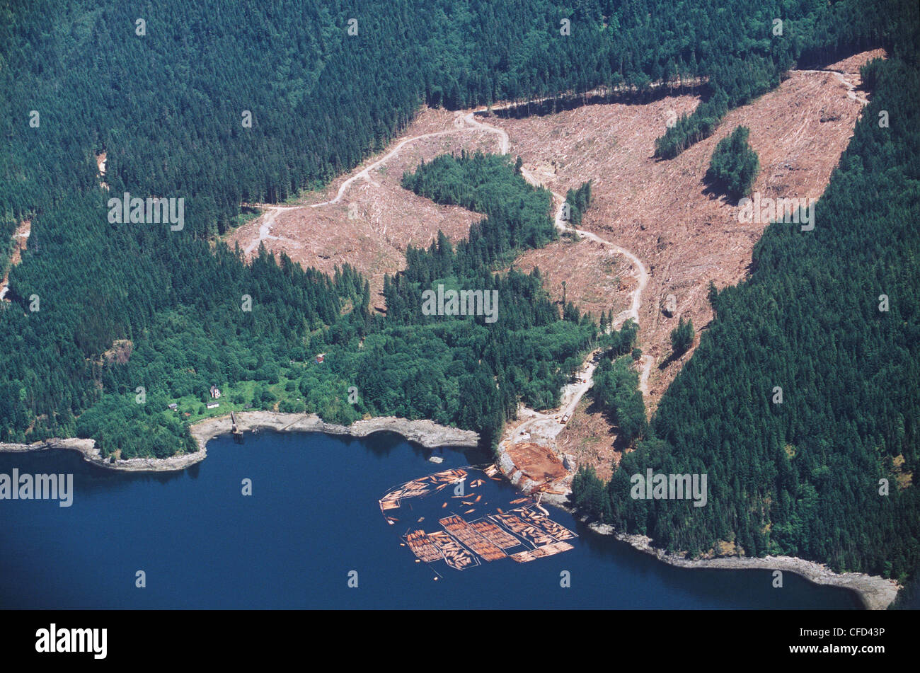 Bute ingresso, una chiara definizione di logging e marine dump del registro, British Columbia, Canada. Foto Stock