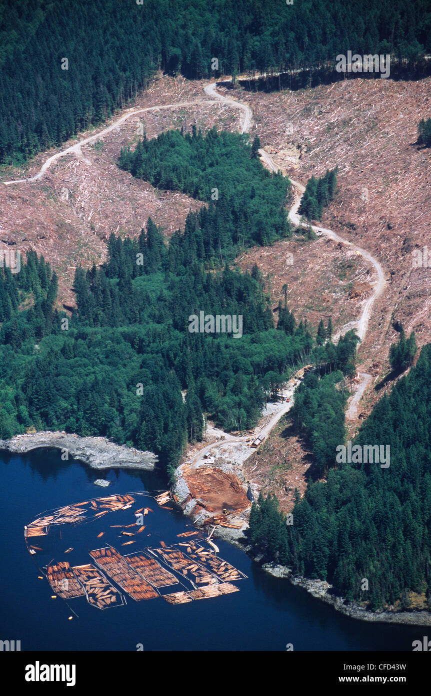 Bute ingresso, una chiara definizione di logging e marine dump del registro, British Columbia, Canada. Foto Stock