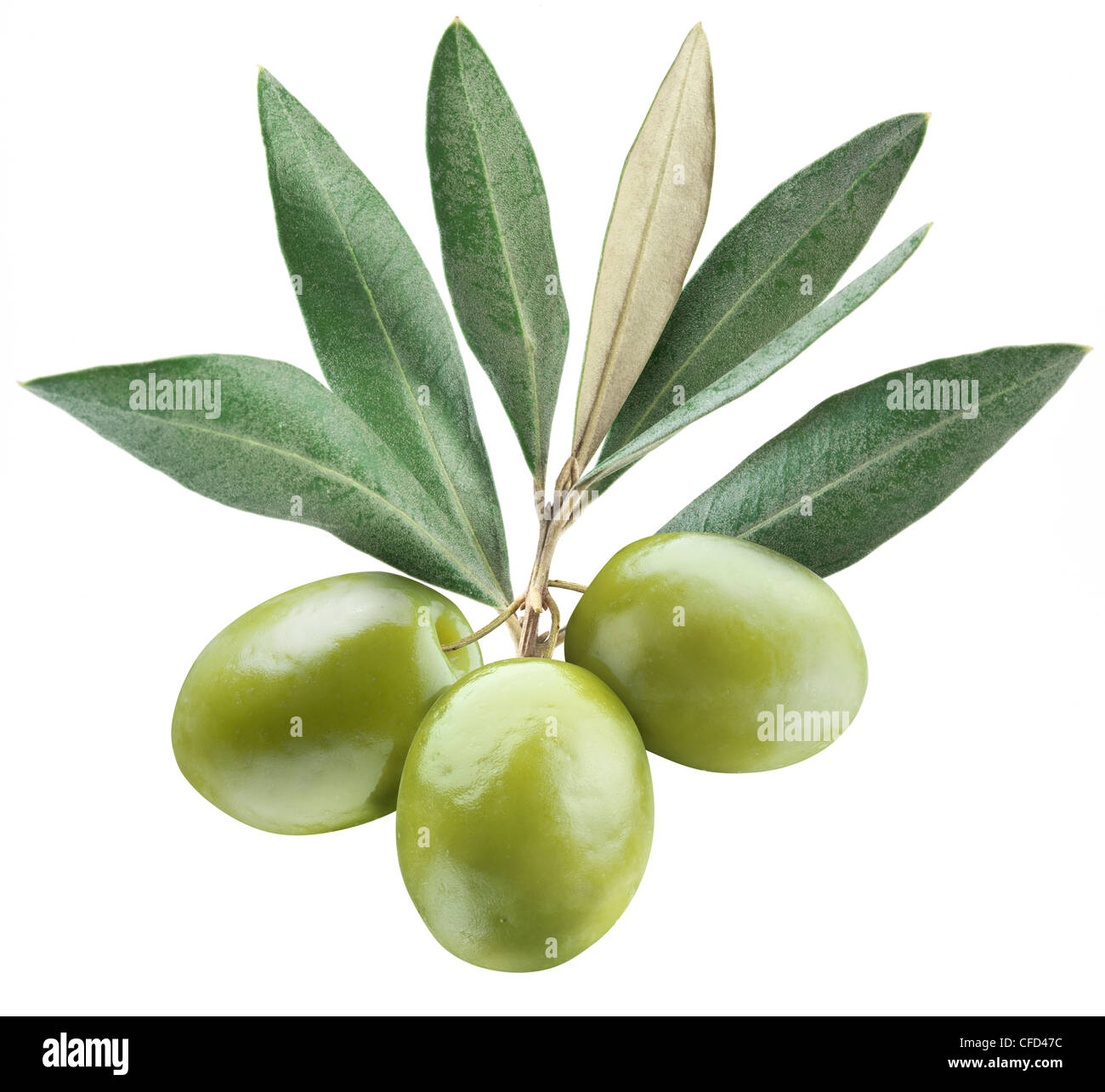 Le olive con foglie su uno sfondo bianco Foto stock - Alamy