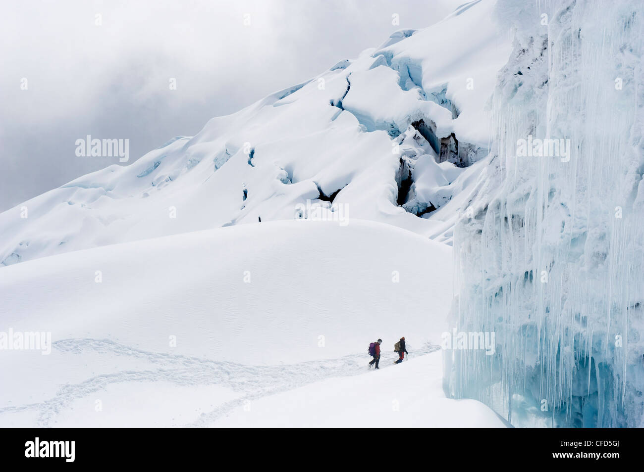 Gli alpinisti sul ghiacciaio del Volcan Cotopaxi, a 5897m il vulcano attivo più alto del mondo, Ecuador, Sud America Foto Stock