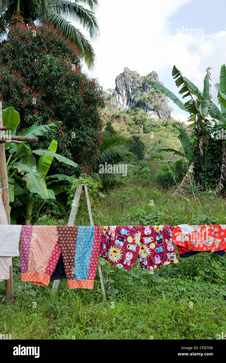 Linea di abbigliamento nella parte anteriore del Rock, Khao Sok National Park, sul Mare delle Andamane, Thailandia Foto Stock
