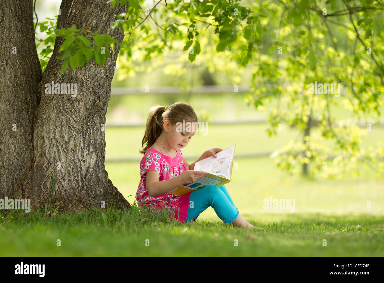Ragazza Younge leggendo un libro sotto un albero nel nord Alberta, Canada. Foto Stock