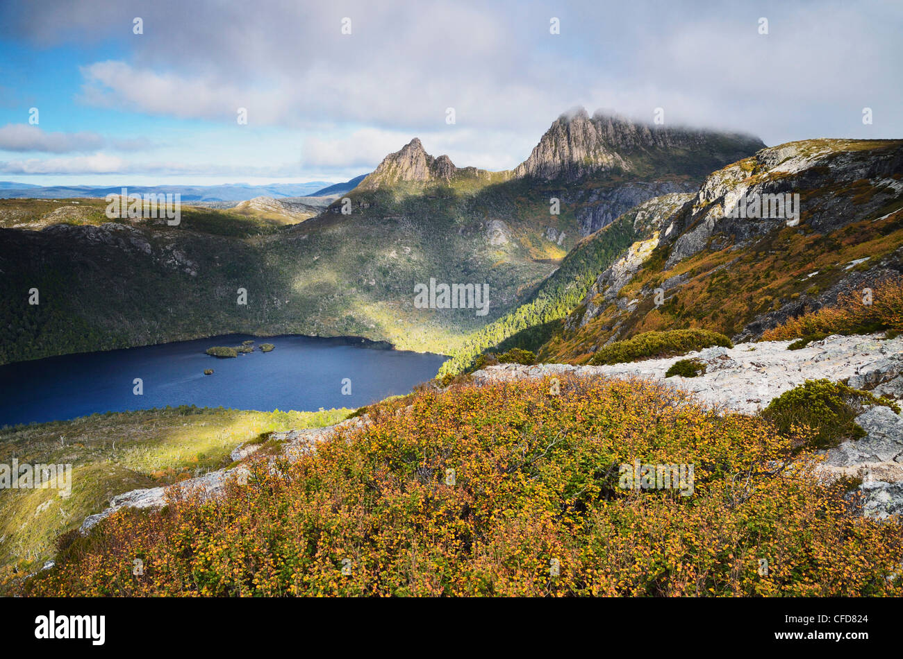 Cradle Mountain e il Lago di colomba, con latifoglie (faggio Fagus), Cradle Mountain-Lake St Clair National Park, la Tasmania, Australia Foto Stock