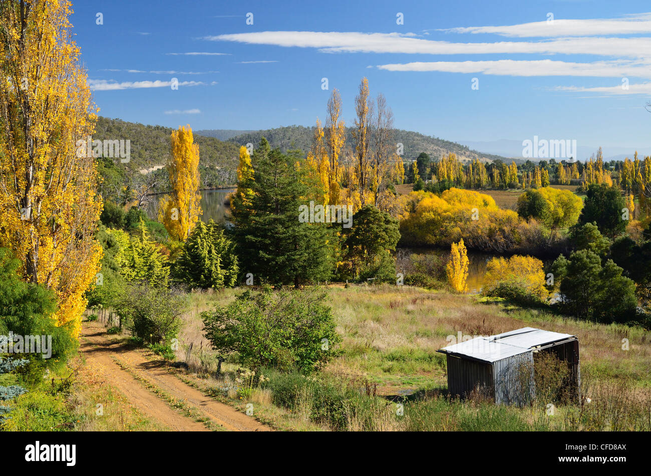 Campagna nella caduta, Derwent Valley, vicino New Norfolk, Tasmania, Australia Pacific Foto Stock