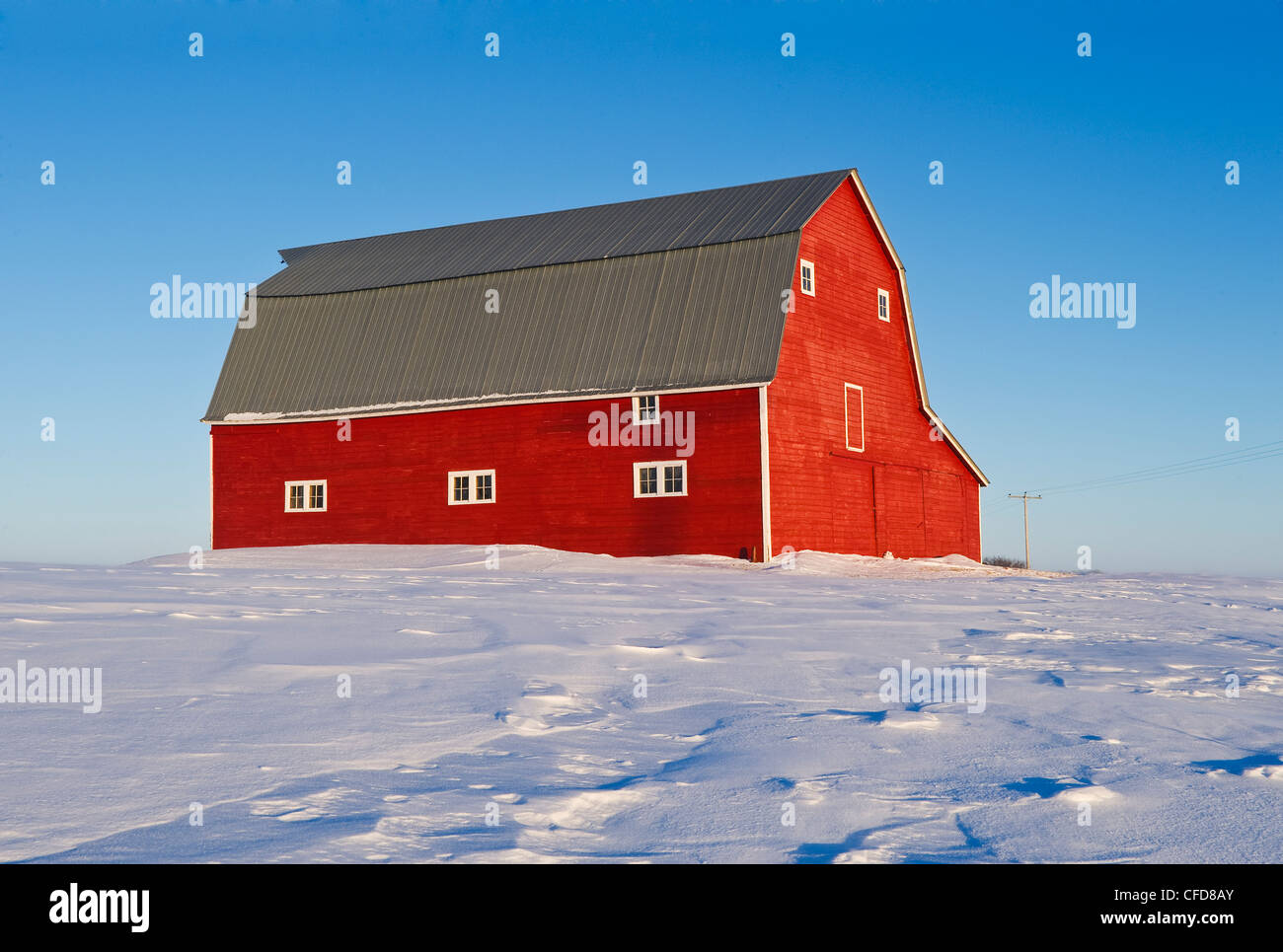Granaio rosso vicino Bromhead, Saskatchewan, Canada Foto Stock