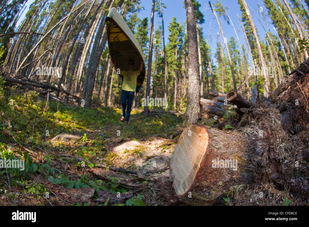 Un uomo portages sua canoa attraverso Wabakimi Parco Provinciale, Ontario, Canada Foto Stock