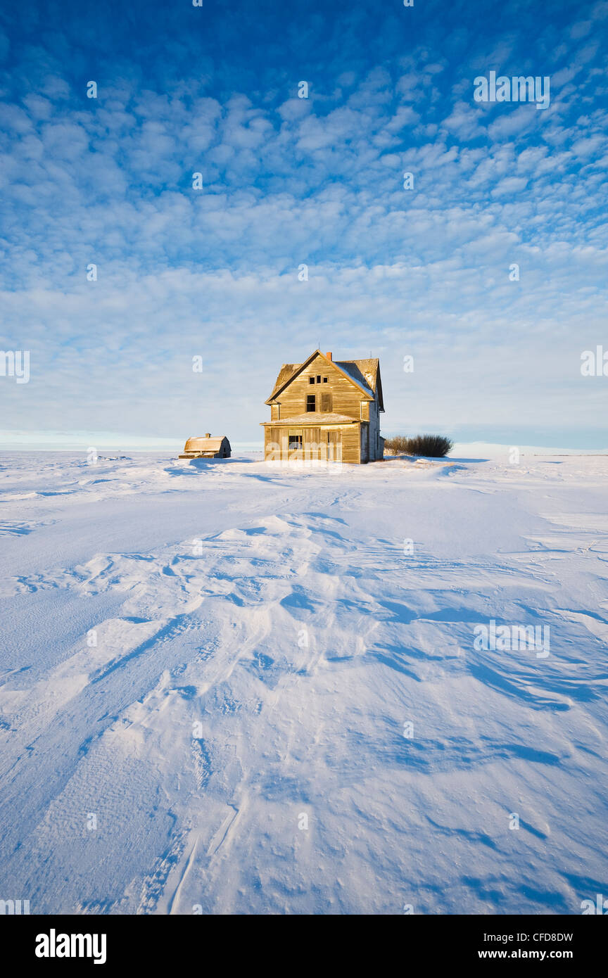 Azienda abbandonata, vicino Assiniboia, Saskatchewan, Canada Foto Stock