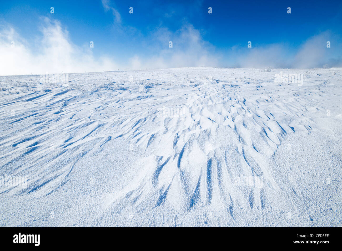 Derive di neve causati dal vento, Southern Saskatchewan, Canada Foto Stock