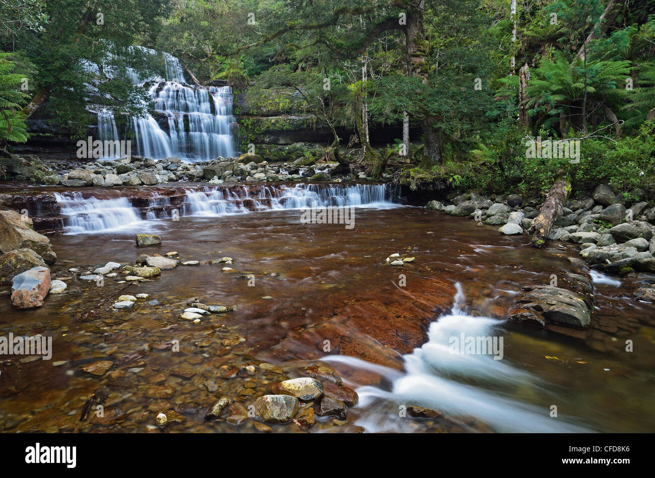 Liffey Falls, Sito Patrimonio Mondiale dell'UNESCO, la Tasmania, Australia Pacific Foto Stock