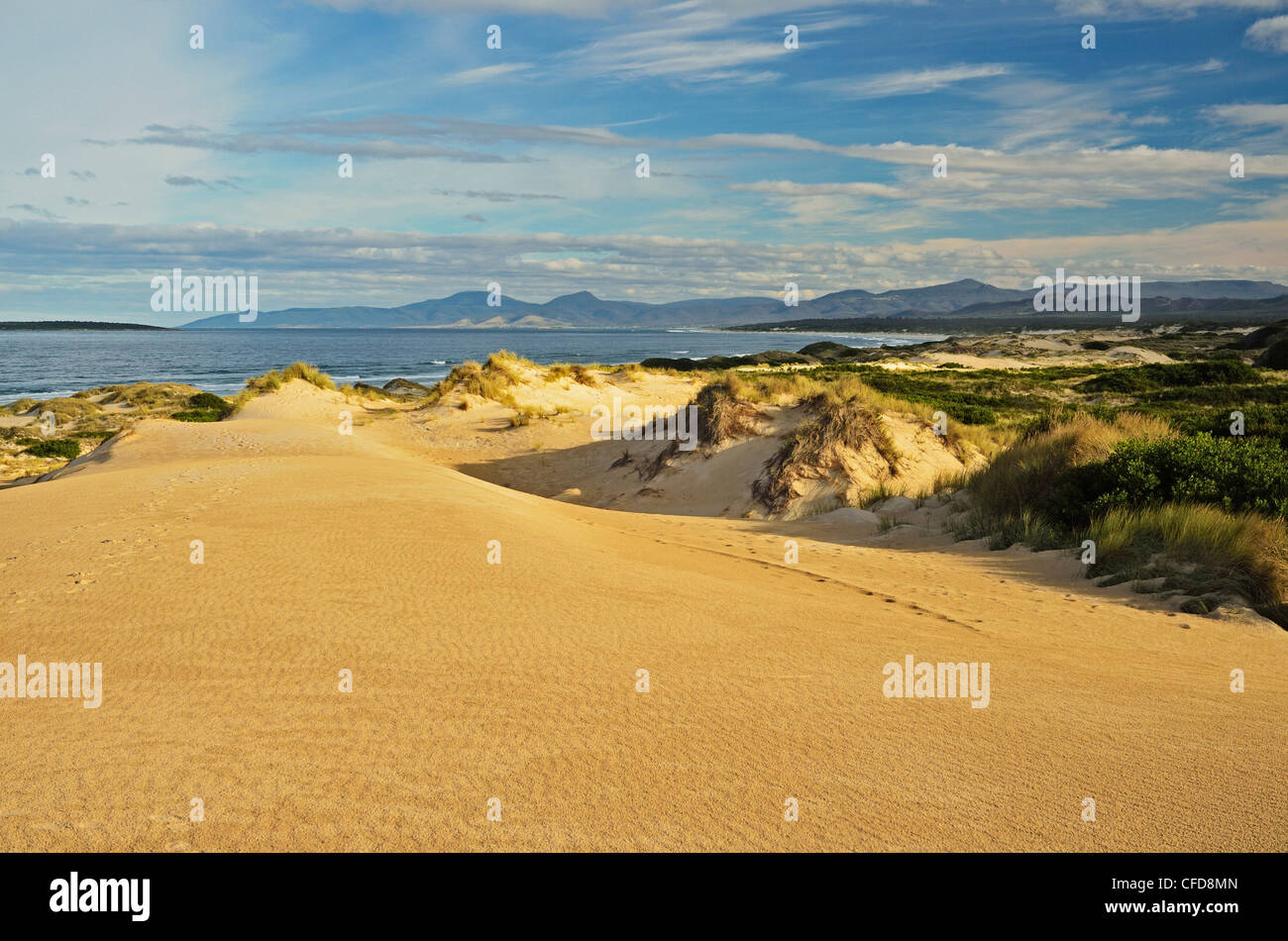 Le dune di sabbia, Sant Helens Area di Conservazione, Sant Helens, Tasmania, Australia Pacific Foto Stock