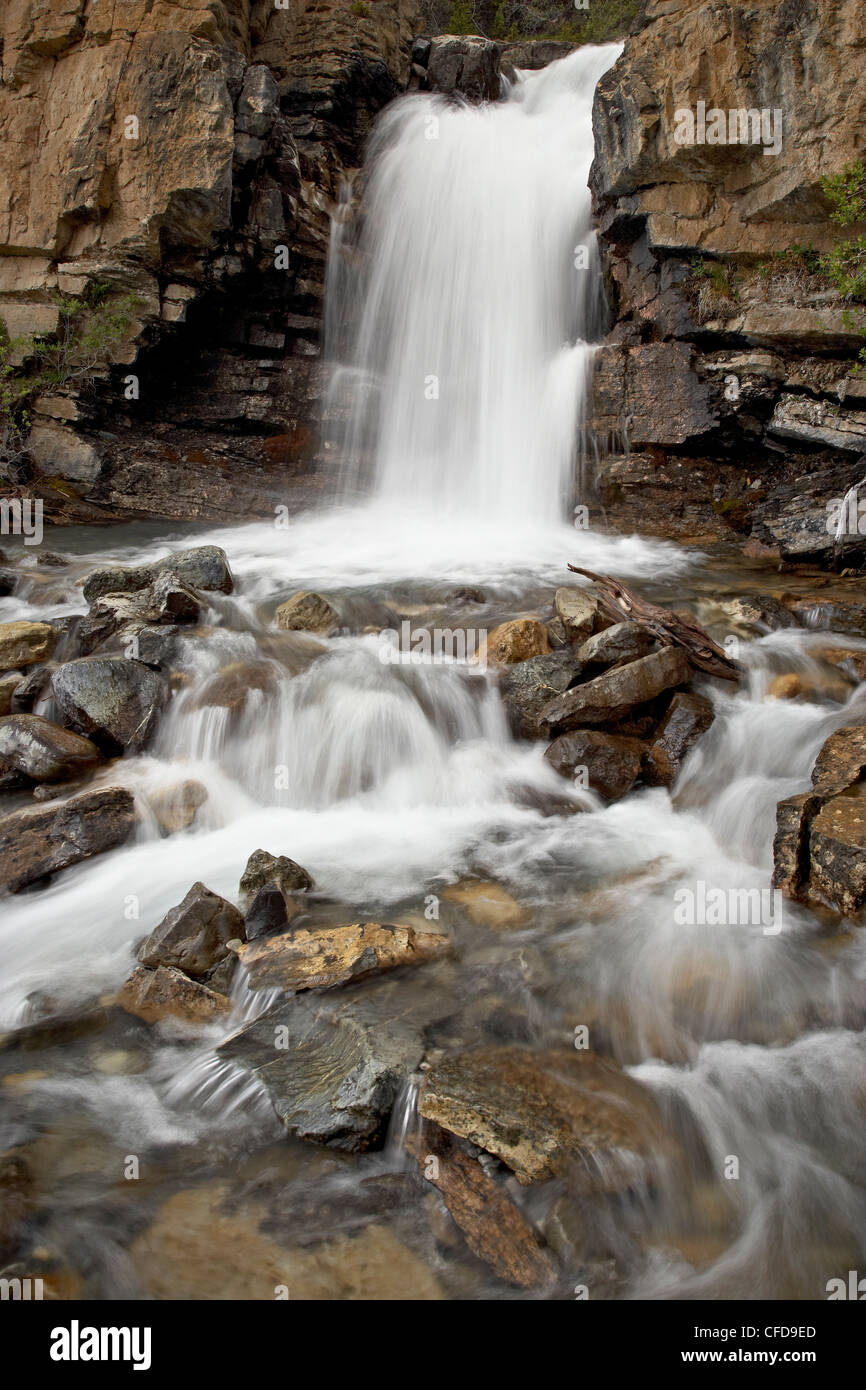 Groviglio scende, il Parco Nazionale di Jasper, Sito Patrimonio Mondiale dell'UNESCO, montagne rocciose, Alberta, Canada, Foto Stock