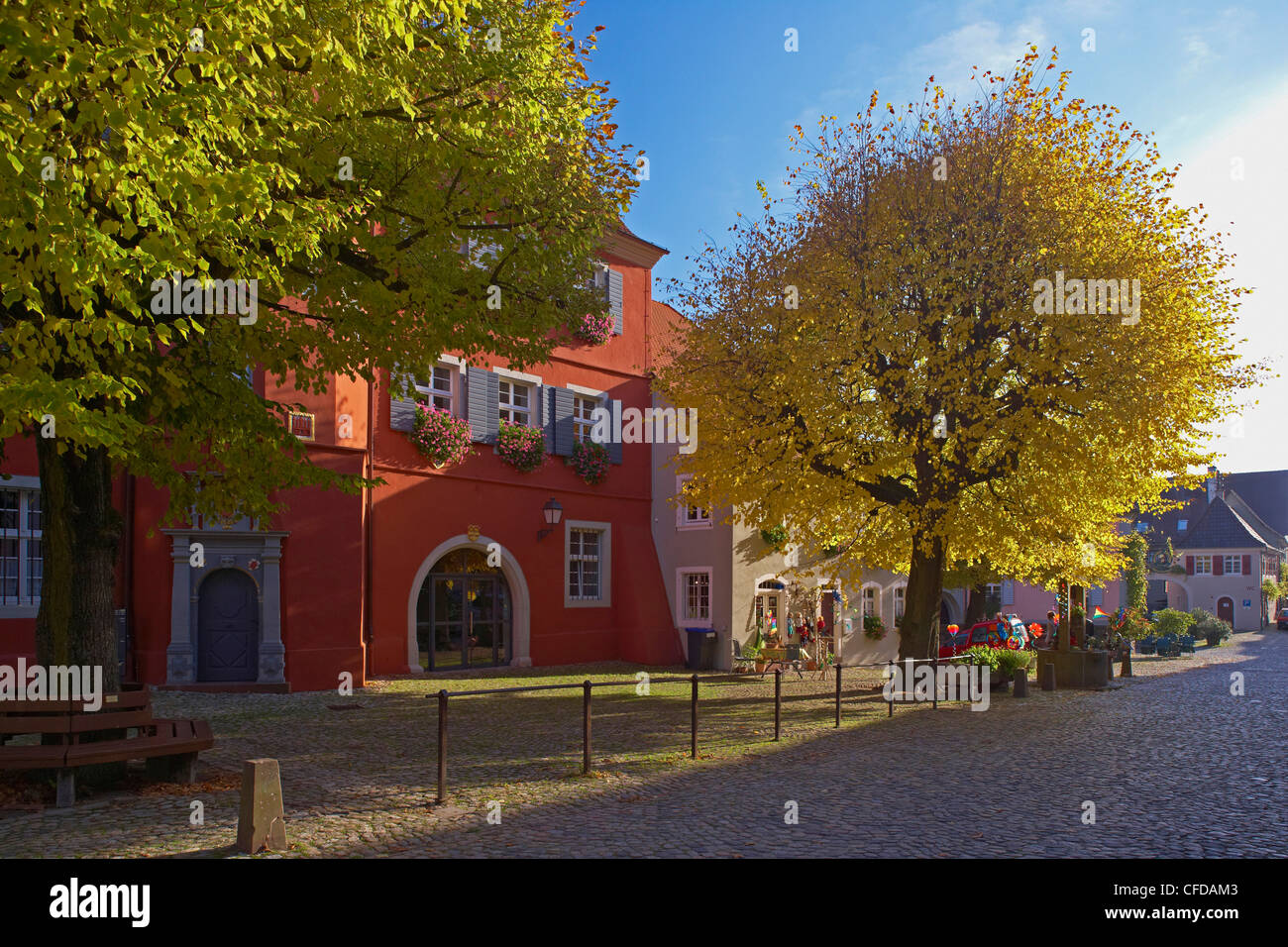 Burkheim, città storica con il municipio e a Kaiserstuhl, Baden Wuerttemberg, Germania, Europa Foto Stock