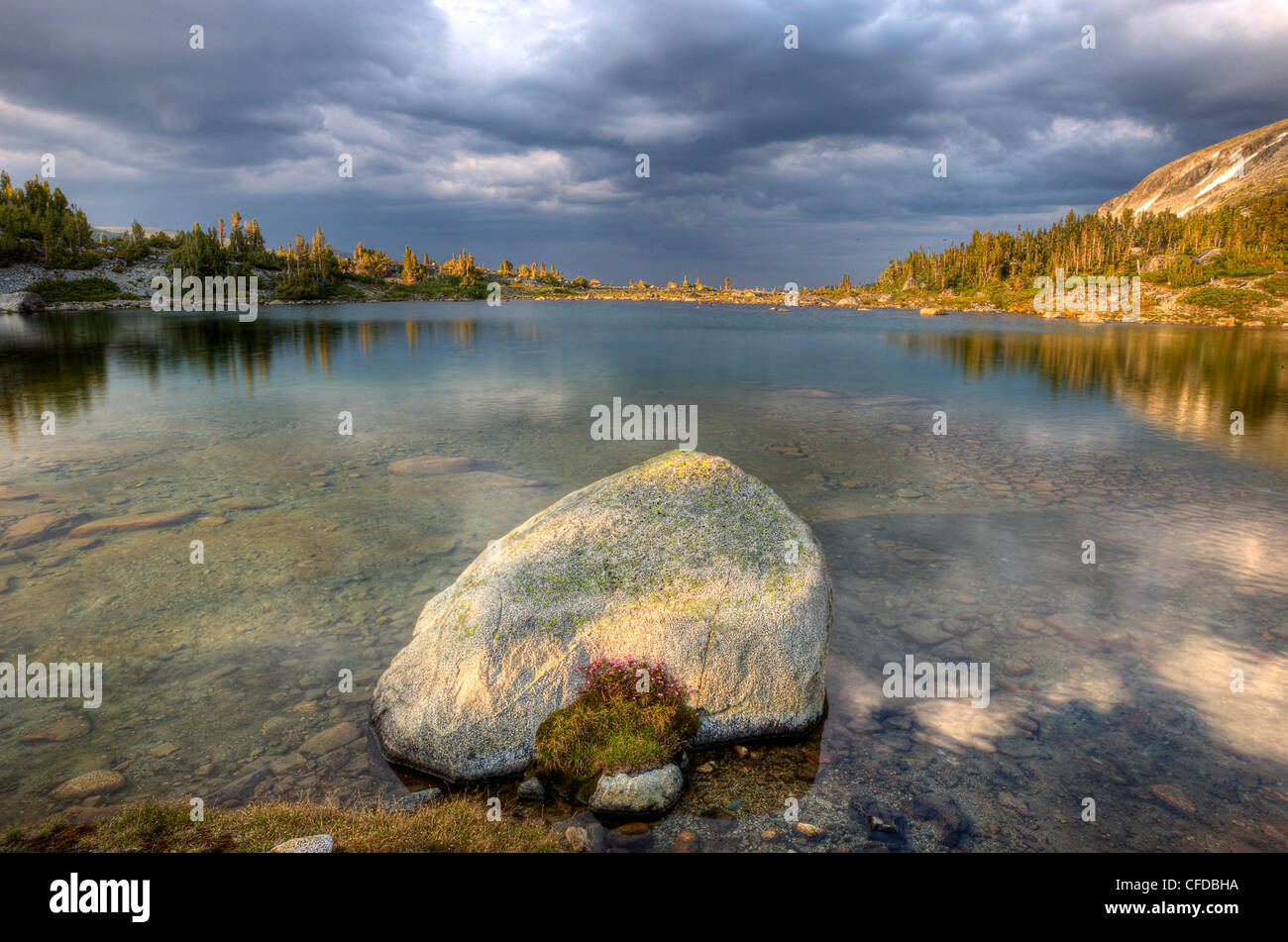 Rosa Heather sul boulder, lago alpino in Charlotte Alplands della British Columbia, Canada Foto Stock