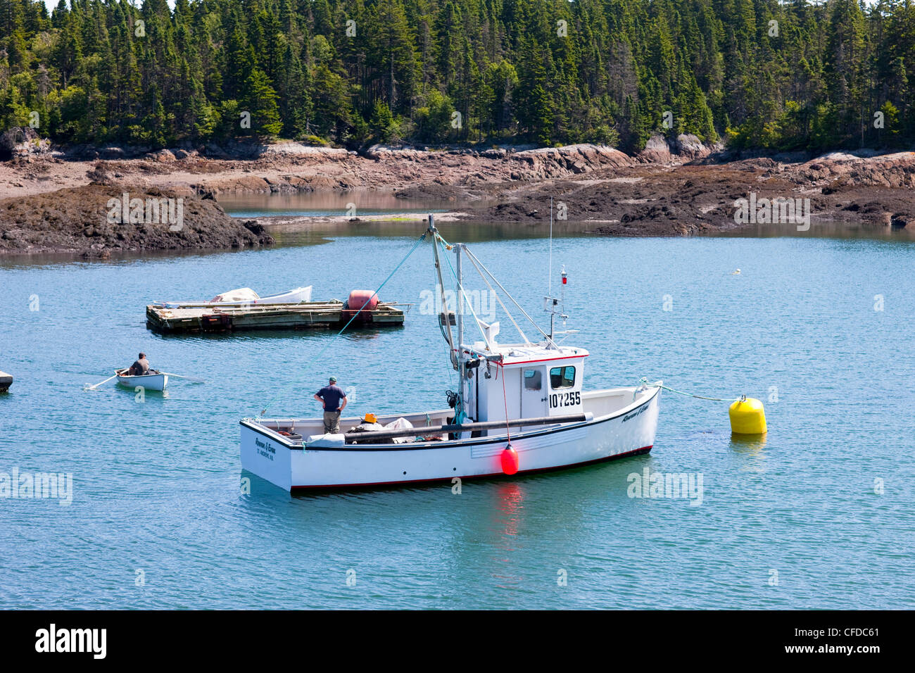Vista dal molo dei traghetti, Blacks Harbour e della Baia di Fundy, New Brunswick, Canada Foto Stock