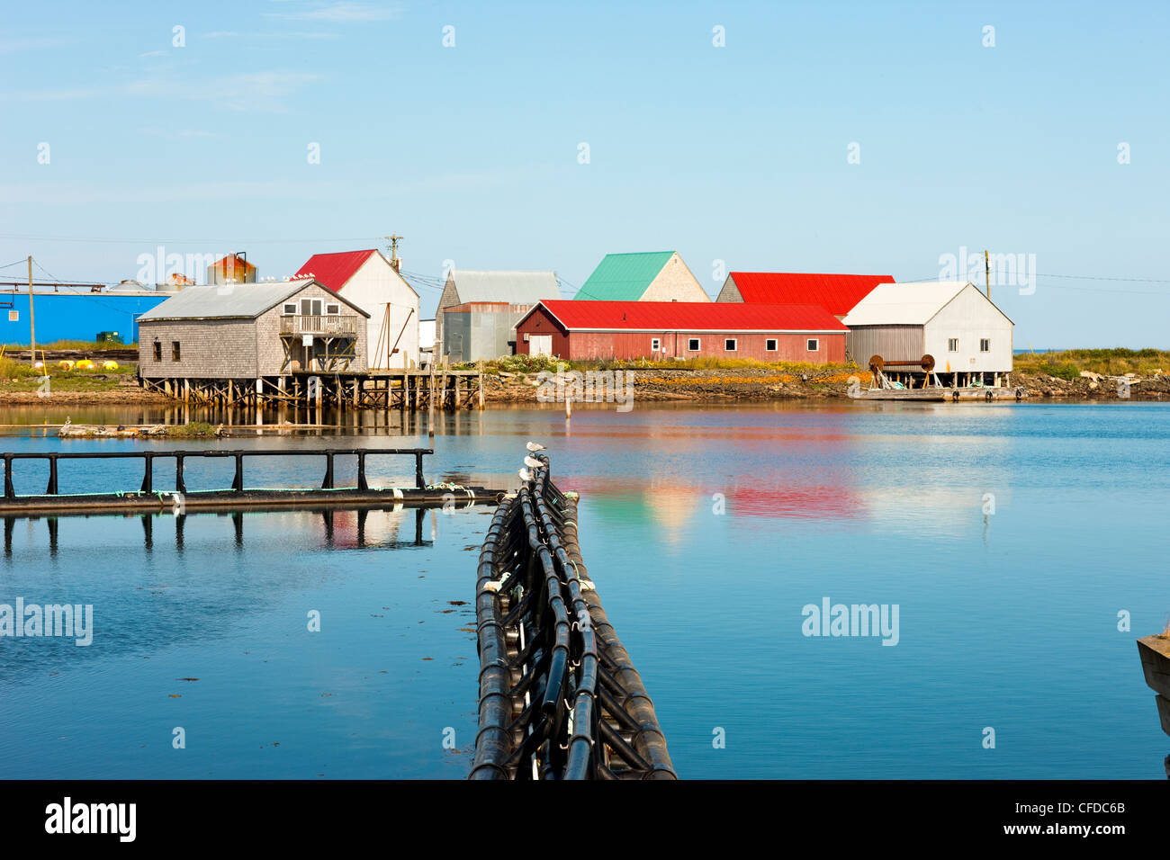 Castalia, Grand Manan Island, Baia di Fundy, New Brunswick, Canada Foto Stock