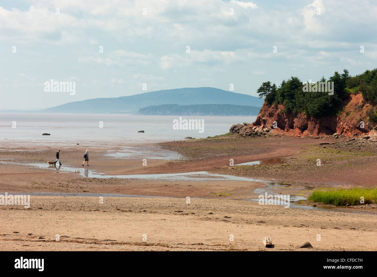 Escursionismo coppia a bassa marea, Baia di Fundy, Dorchester Cape, New Brunswick, Canada Foto Stock