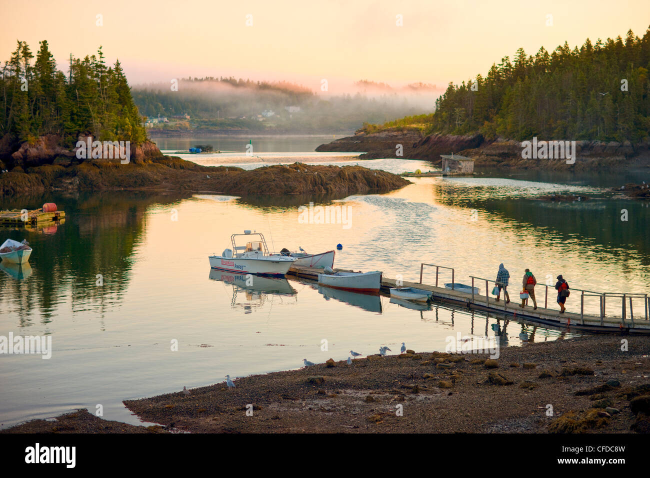 I pescatori neri di lasciare il porto all'alba, la baia di Fundy, New Brunswick, Canada Foto Stock