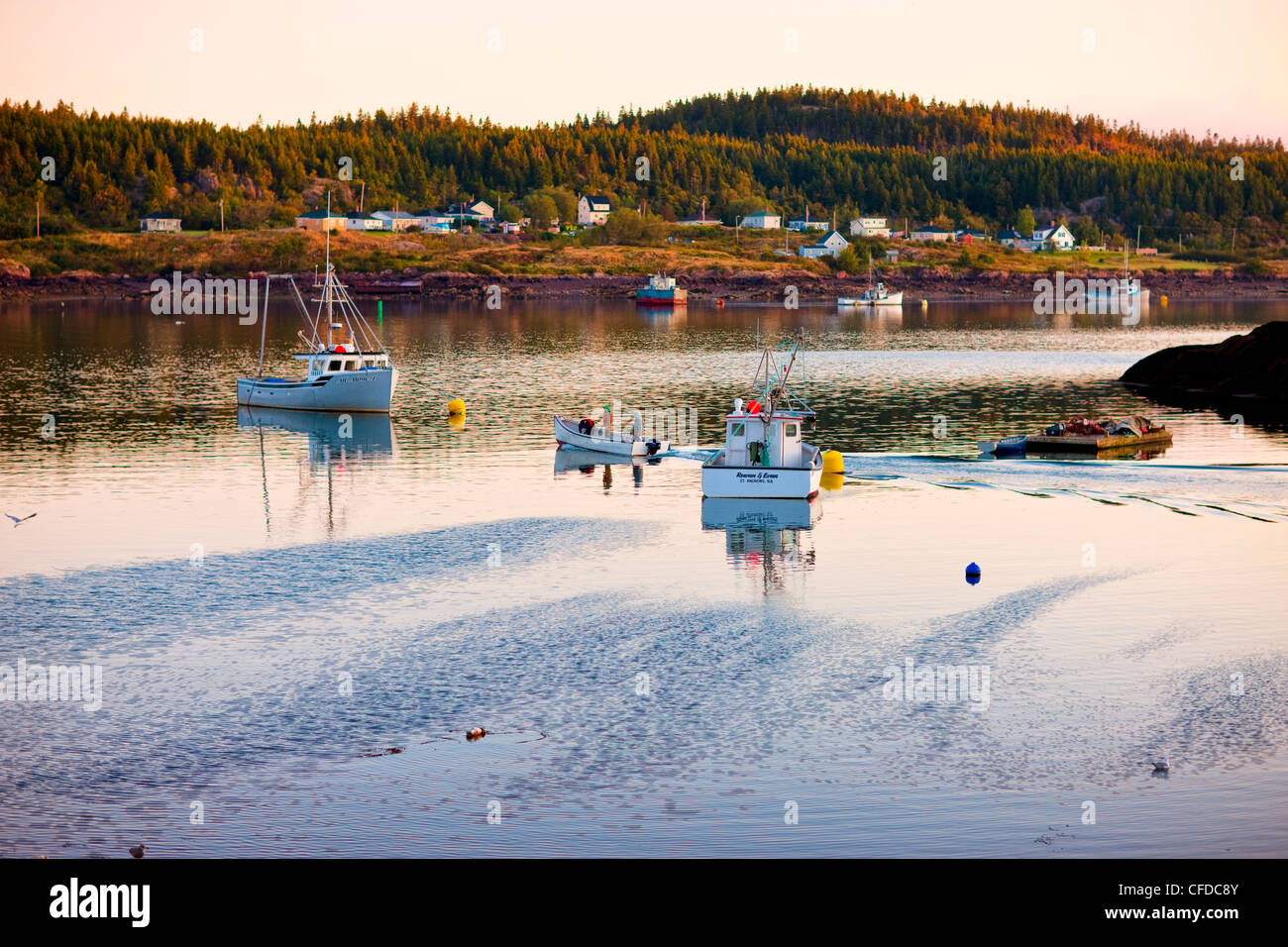 I pescatori neri di lasciare il porto all'alba, la baia di Fundy, New Brunswick, Canada Foto Stock