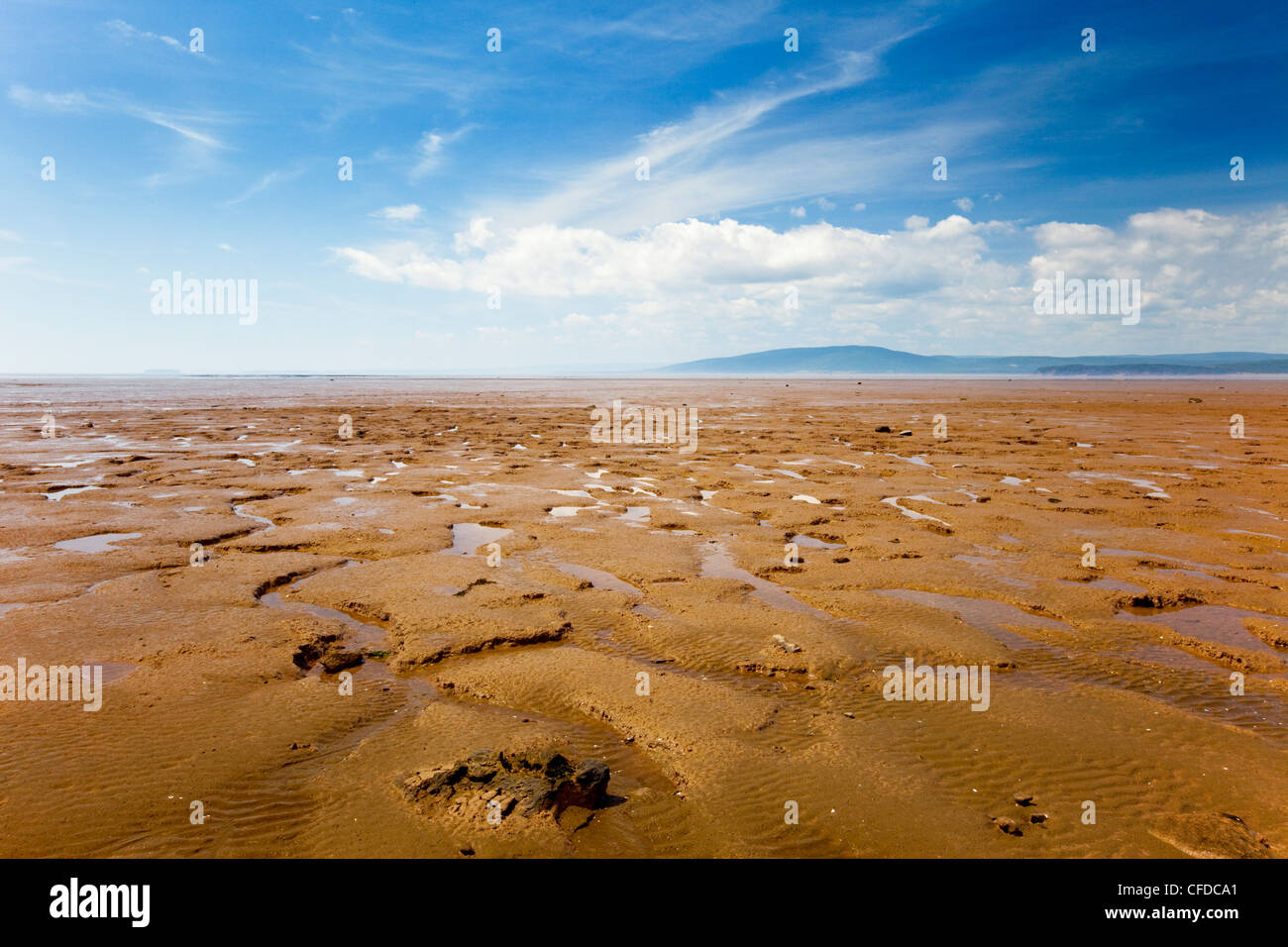 Bassa marea a Dorcherster Cape, Baia di Fundy, New Brunswick, Canada Foto Stock