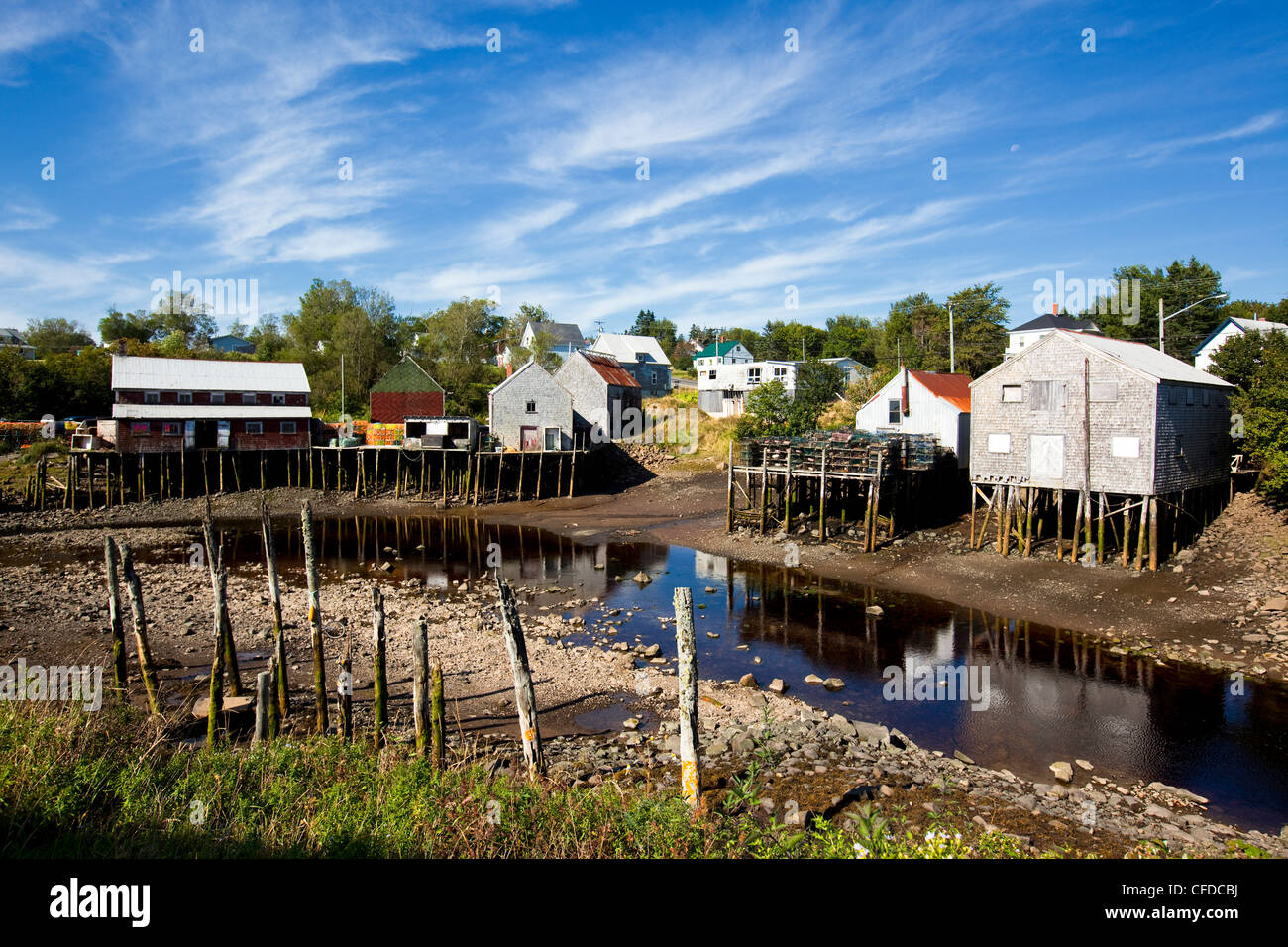 La bassa marea, Guarnizione Cove, Grand Manan Island, Baia di Fundy, New Brunswick, Canada Foto Stock